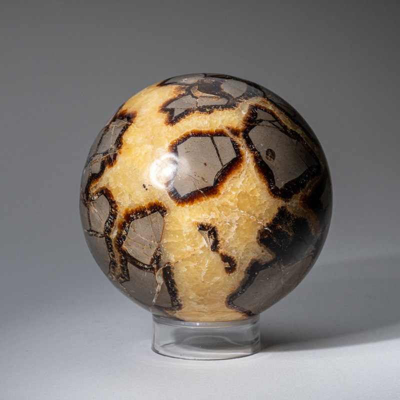 Genuine Polished Septarian (2") Sphere from Madagascar, 3.75" H x 3.75" W x 3.75" D, Yellow Calcite/Brown Aragonite/Gray