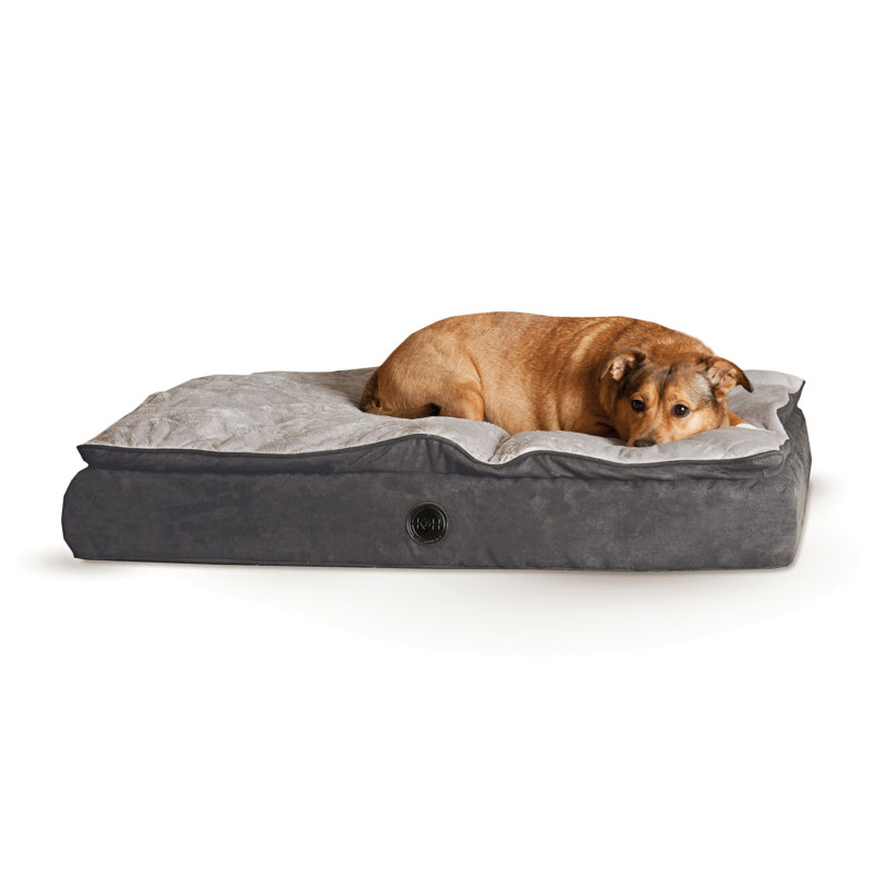 Coussin pour chien Feather, Petit (l 30 po x P 20 po x H 6,5 po), Noir/gris