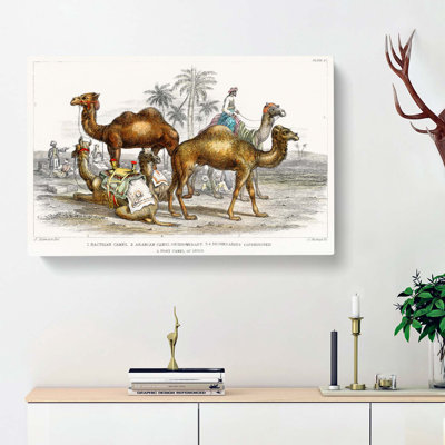 Camels by Oliver Goldsmith - Wrapped Canvas