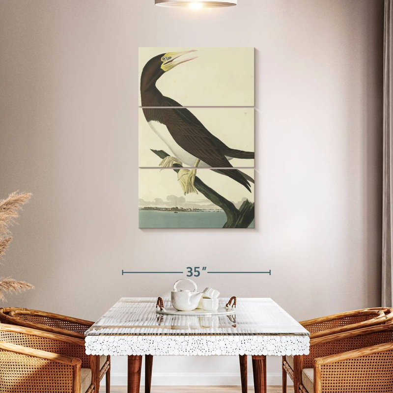 Brampt Booby Gannet, 65" H x 42" W