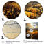 «Countryside Harvest» - Impression-91380997-91381005