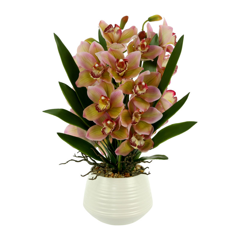 Orchid Arrangement with Rocks in a Ceramic Pot, Pink
