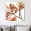 Peach Luster Cyclamen 1 - Wrapped Canvas Print-717263536