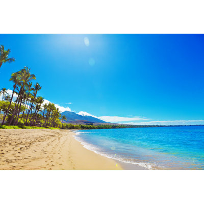 Kaanapali Beach 1 Piece Wrapped Canvas Wall Art