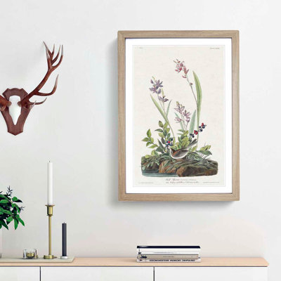 Field Sparrow by John Audubon - Picture Frame Graphic Art Print