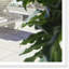The Pool Area Of Olympiakos Giclee Print by Horst P. Horst