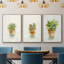 Succulent I - Ensemble de 3 reproductions encadrées sur toile-91891094-91891095