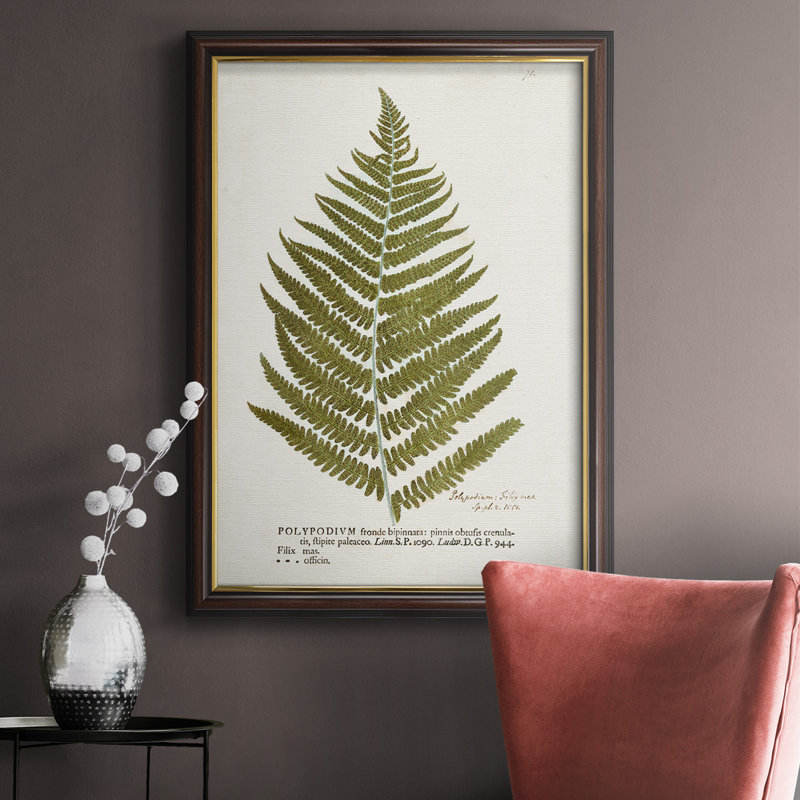 Nature imprimée, fougères II, toile encadrée de qualité supérieure - prête à être accrochée, H 20 po x l 16 po x P 2,5 po