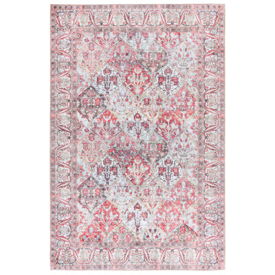 Cina Performance Machine Washable Oriental Rug