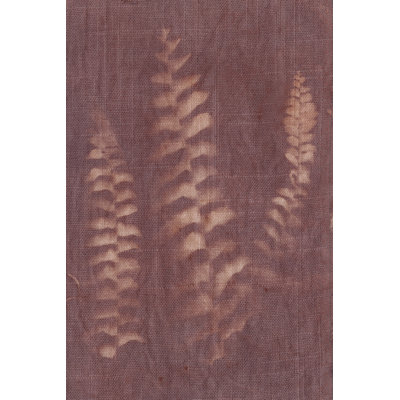 Botanical Sun IV