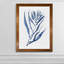 « algues under water iii »-cadre photo imprimé sur verre-2484616-2484618