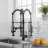 Fapully Pull Down Kitchen Faucet
