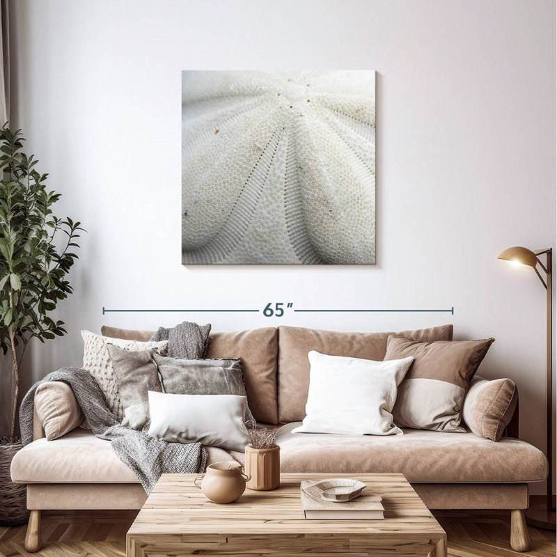 Crowle Textured Sand Dollar, 36" H x 36" W