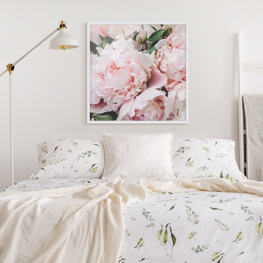 Gerahmtes Poster Peonies Light Pink