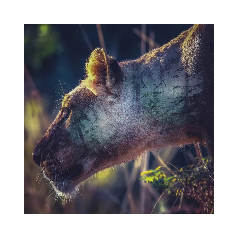 Head 1 Piece Wall Art on Canvas, 45.72 cm H x 45.72 cm W x 1.91 cm D, Wrapped Canvas