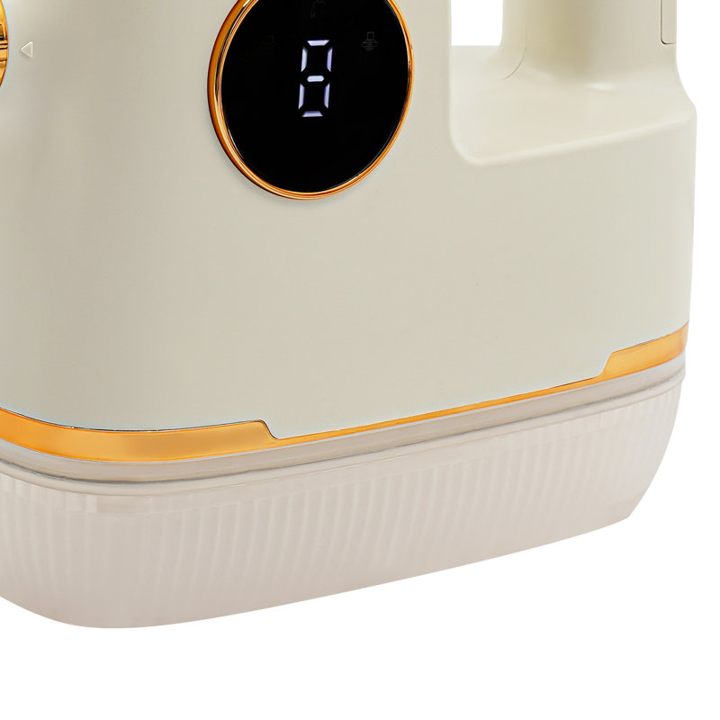Nettoyeur vapeur haute température