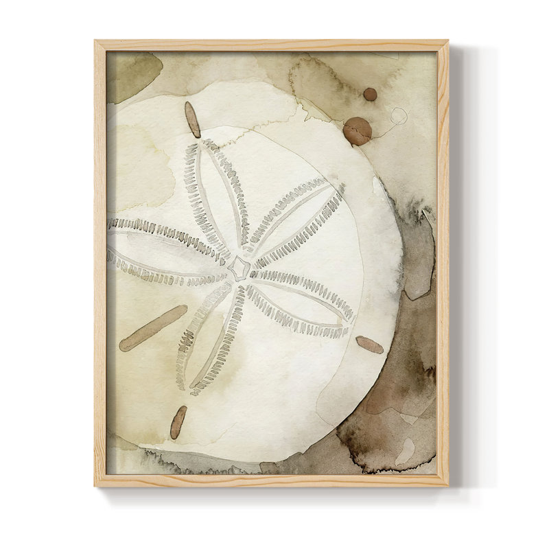 Dry Sand Dollar I Framed Print - Solid Wood, 30" H x 24" W