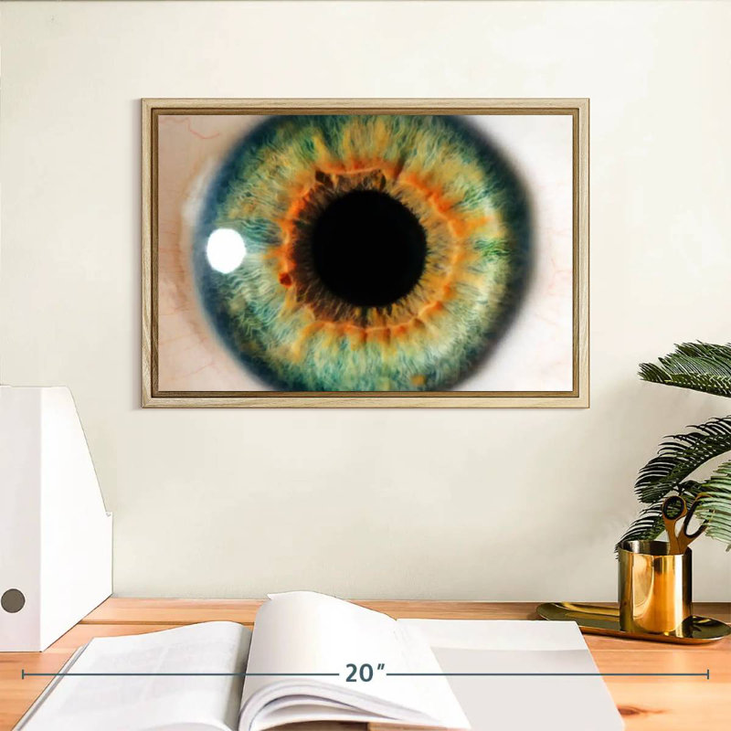 Green Eye, 13" X 9", Floating Frame Natural Wood