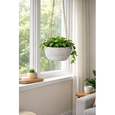 7.5 in. Hanging Bowl Planter