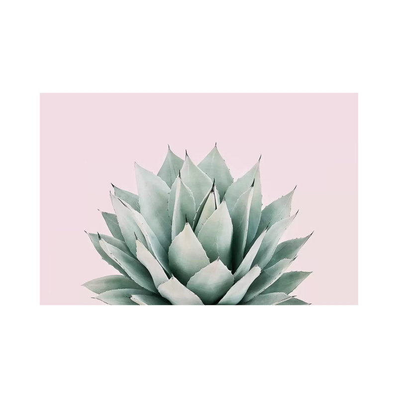 «Agave» par Sissi et Seb - impression d'art graphique, Toile tendue, Pas de tapis, H 18 po x l 26 po x P 1,5 po
