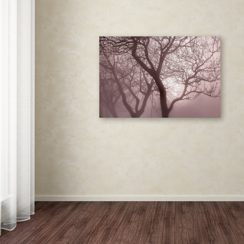 «Hazy Dawn with Tree Tree Silhouettes», reproduction de photo sur toile tendue, H 12 po x l 19 po