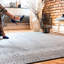 Thackinh Area Rug-2023928328