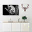 Koala Bear Resting In A Tree - Wrapped Canvas Print-55365066