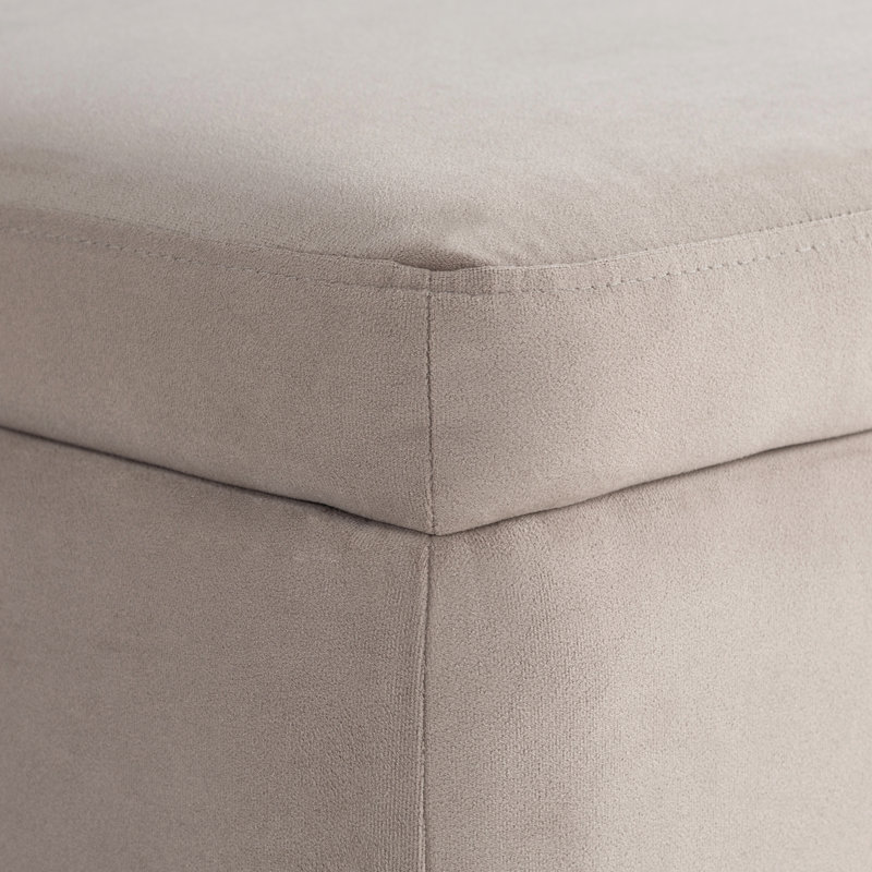 Grand repose-pieds avec rangement 31,1 po Delton, Taupe