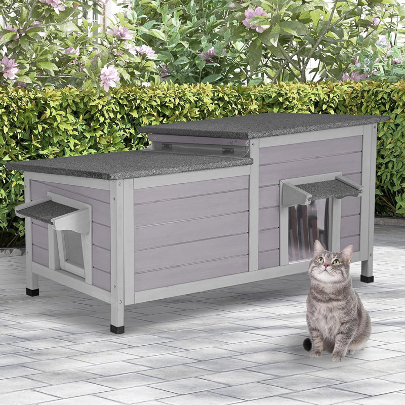 Cage d'extérieur pour chat pour chat