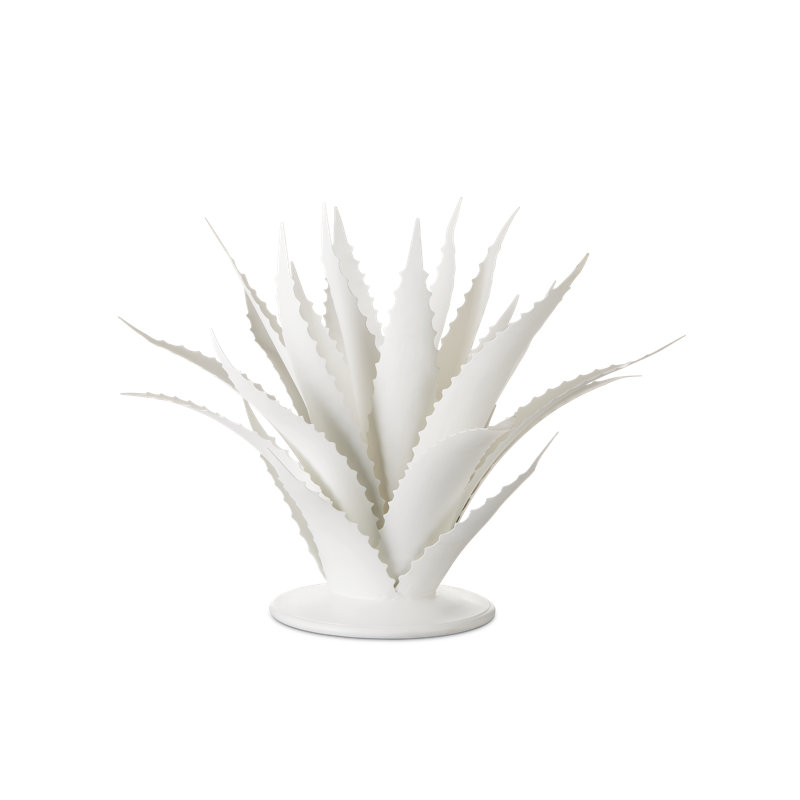 Agave, objet