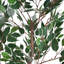 Ficus artificiel 51 po avec pot