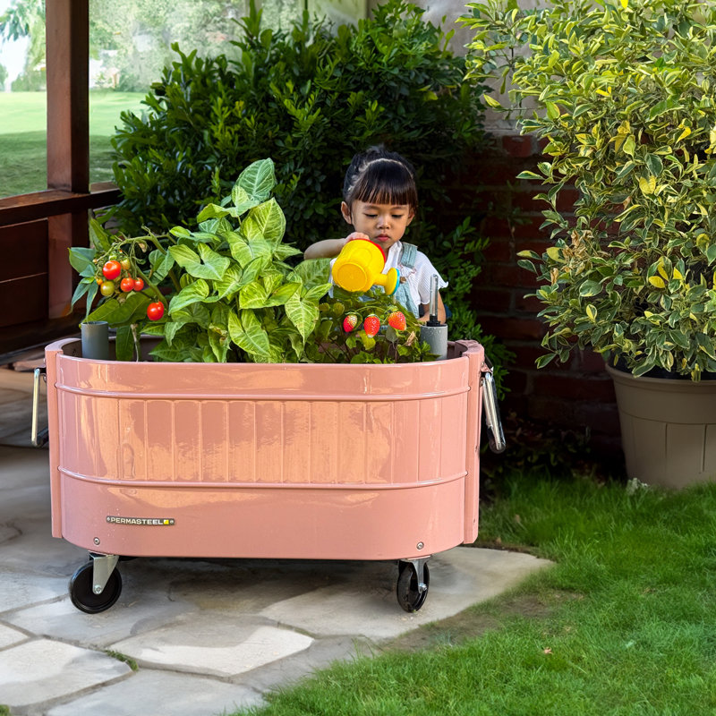 Permasteel Self-Watering Garden Bed, Rolling Planter For Vegetables, Flowers, Herbs, And Fruit, Outdoor Indoor, Caster Wheels, 