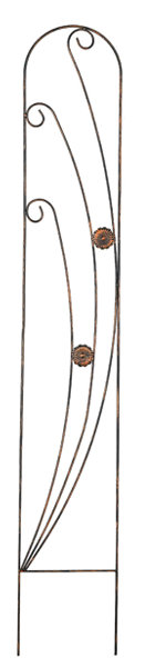 Trellis arqué kazafani, 5'