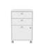 Canonero 42.4cm Wide 2 -Drawer Mobile File Cabinet