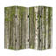 Écran de forêt prolifique 84 po x 84 po Leocadia