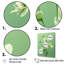 «Simplistic Flora Petal Bliss III», reproduction sur toile-1718294574-1718294743