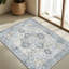 Tapis oriental performance Roehit-1868791847-1865515412