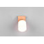 Kayl 1-Light 10cm Ceiling Spotlight