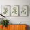 Antique Turpin Botanical VII - Ensemble de 3 peintures sur toile encadrées
