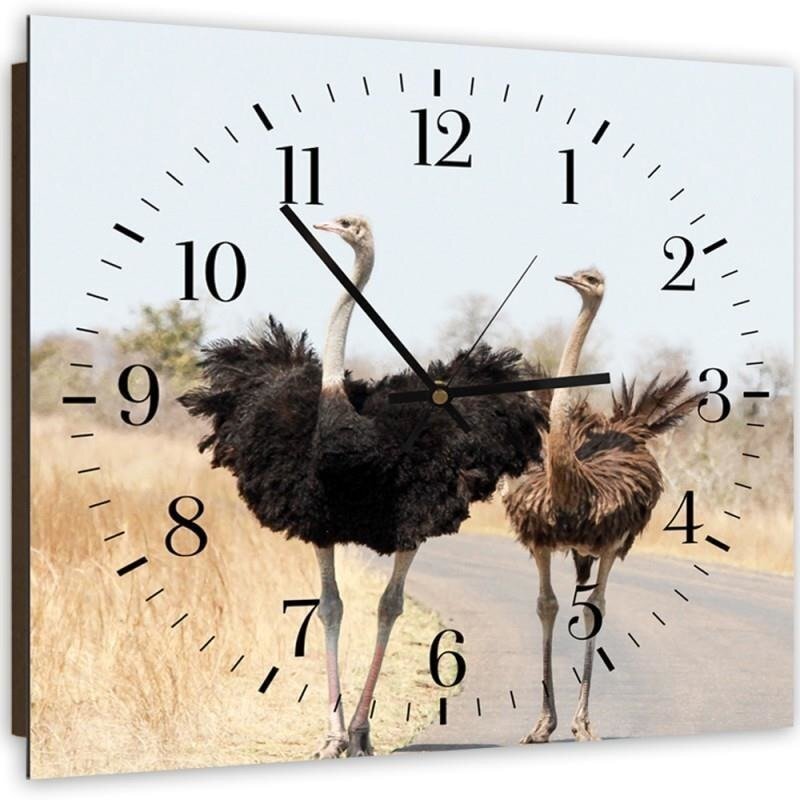 Analoge Wanduhr Two Ostriches Geräuschlos