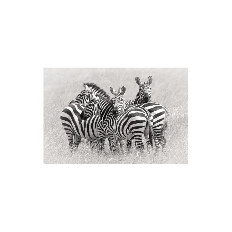 Wrapped Canvas Print, 50.8 cm H x 76.2 cm W