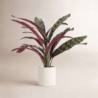 18.9'' Faux Calathea Plant in Ceramic Pot