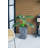 Pot Planter-69177144