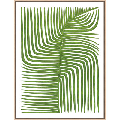 Botanicus Quattuordecim 1 Print
