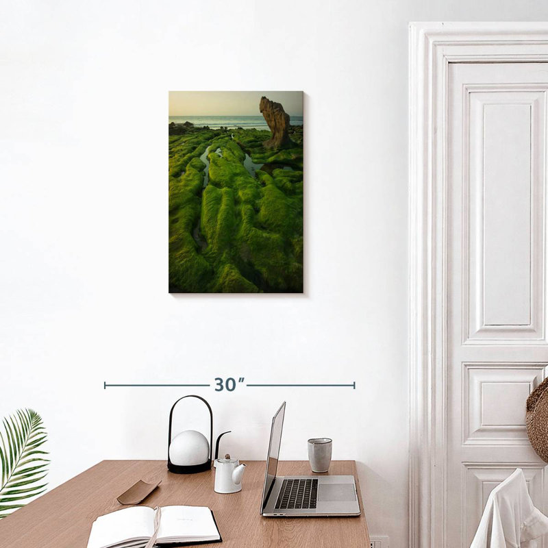 Gillard Mossy Vietnam Gillard, 24" H x 16" W