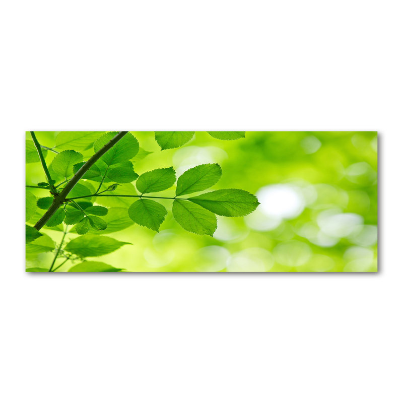 Green Leaves - Wrapped Canvas Print