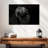 Brampt Capuchin Monkey-108712711