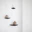 Fungi Oak Solid Wood Floating Shelf-11897215-11897216