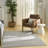 Ebern Designs Mirari Grey Modern Indoor Rug-1899093119