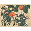 "Persimmon" par Sakai Ho IItsu - Art mural sur toile tendue avec châssis-2065247453